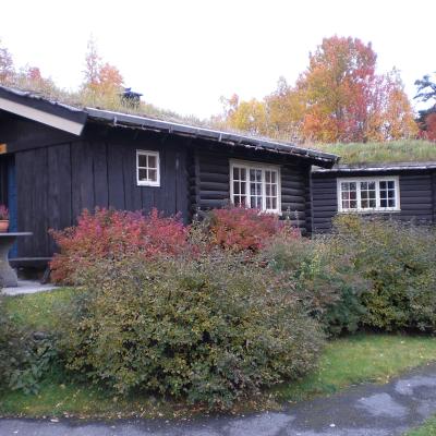 Bilder - Ute